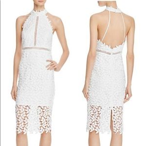 Bardot Gemma Halter Lace Sheath Dress